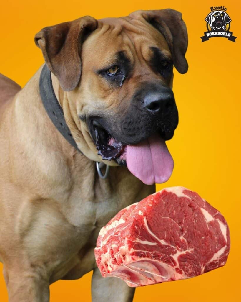 Best Foods For African Dog