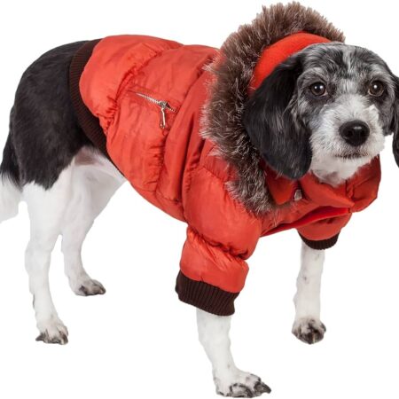 Insulated Dog Coat Parka With Removable Hood - Orange - XS